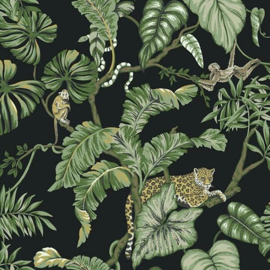 Jungle Cat Black Wallpaper