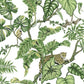 Jungle Cat White Wallpaper