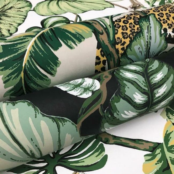 Jungle Cat White Wallpaper