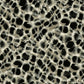 Leopard Rosettes Black Wallpaper