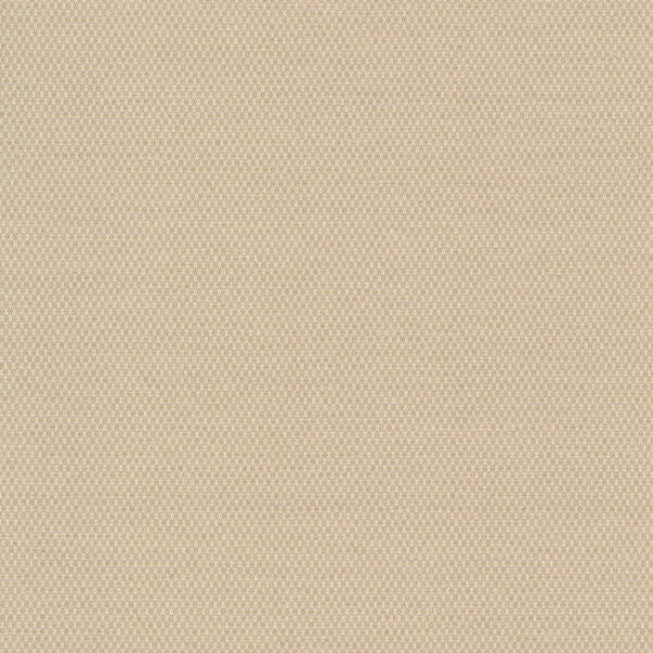 Varna Flan Wallpaper