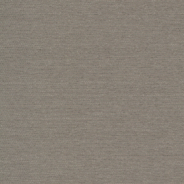 Varna Pigeon Wallpaper