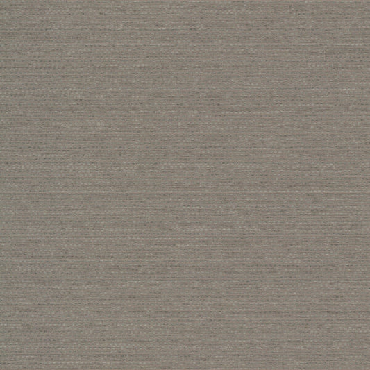Varna Pigeon Wallpaper