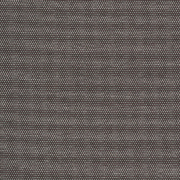 Varna Raisin Wallpaper