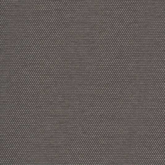 Varna Raisin Wallpaper
