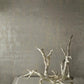 Liquid Metal Taupe Wallpaper
