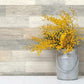 Pallet Board Grey Wallpaper