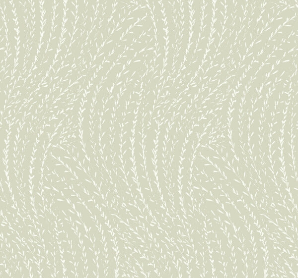 Willow Song Sage Botanical Wallpaper
