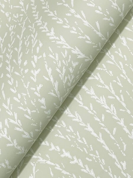 Willow Song Sage Botanical Wallpaper