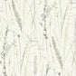 Meadow Splendor Charcoal Botanical Wallpaper