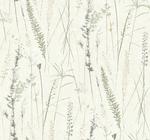 Meadow Splendor Charcoal Botanical Wallpaper