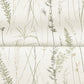 Meadow Splendor Charcoal Botanical Wallpaper