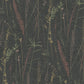 Meadow Splendor Black Botanical Wallpaper