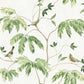 Cillian Green Botanical Bird Trail Wallpaper