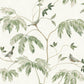 Cillian Dark Green Botanical Bird Trail Wallpaper