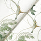 Cillian Dark Green Botanical Bird Trail Wallpaper