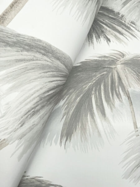 Plein Air Palms Black & White Wallpaper