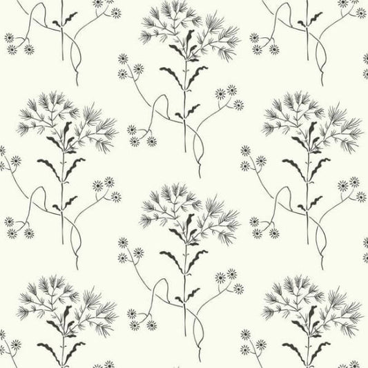 Wildflower Black & White Wallpaper