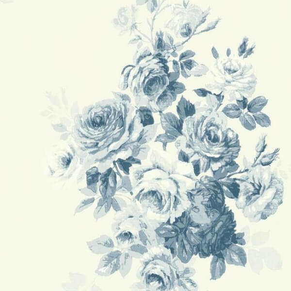 Tea Rose Blue Wallpaper