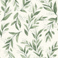 OLIVE BRANCH Wallpaper