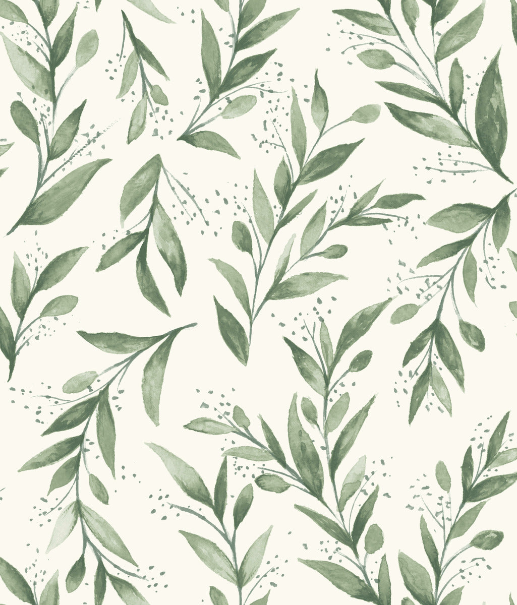 OLIVE BRANCH Wallpaper