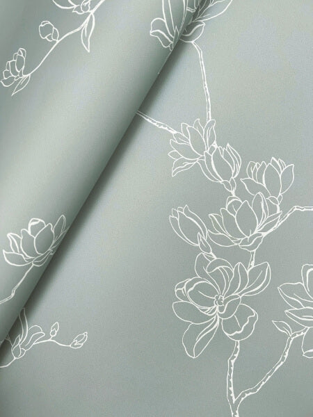 Magnolia Eucalyptus Branches Wallpaper