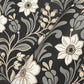 Colette Black Wallpaper