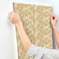 Betulle Citrus Wallpaper