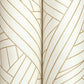 Nastri White Wallpaper