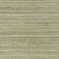Raffia Charcoal Wallpaper