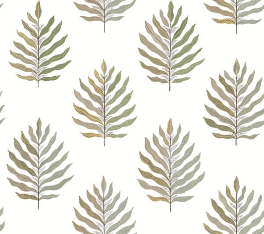 Miramar Desert Palm Wallpaper