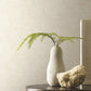Trabadillo Plaster Beach Wallpaper