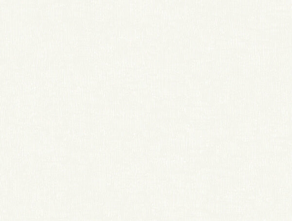 Trabadillo Plaster Egg Shell Wallpaper