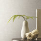 Trabadillo Plaster Fog Wallpaper