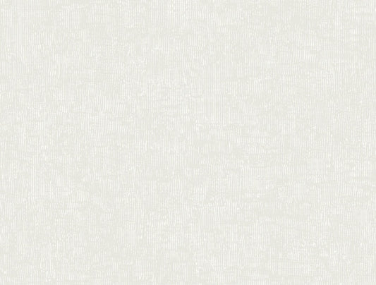 Trabadillo Plaster Salt Wallpaper