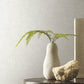 Trabadillo Plaster Salt Wallpaper