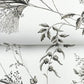 Floral Lace Black Wallpaper