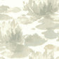 Water Lily Grey Wallpaper
