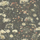 Botanical Fantasy Black Wallpaper