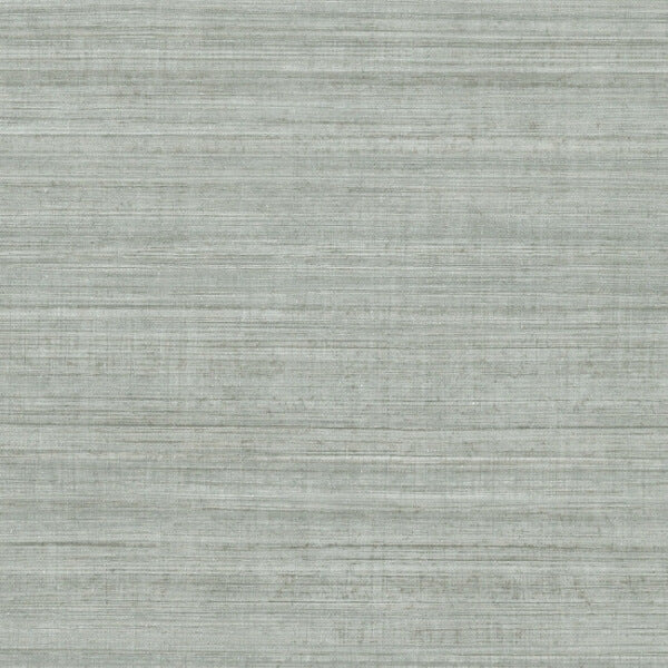Tasar Silk Grey Wallpaper