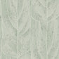Dicot Spa Leaf Wallpaper