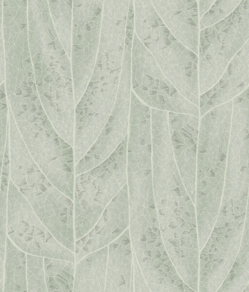 Dicot Spa Leaf Wallpaper