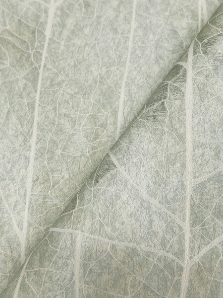 Dicot Spa Leaf Wallpaper