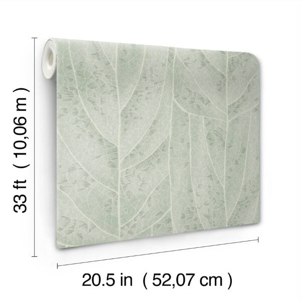 Dicot Spa Leaf Wallpaper