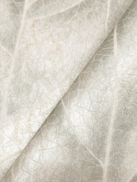 Dicot Light Green Leaf Wallpaper
