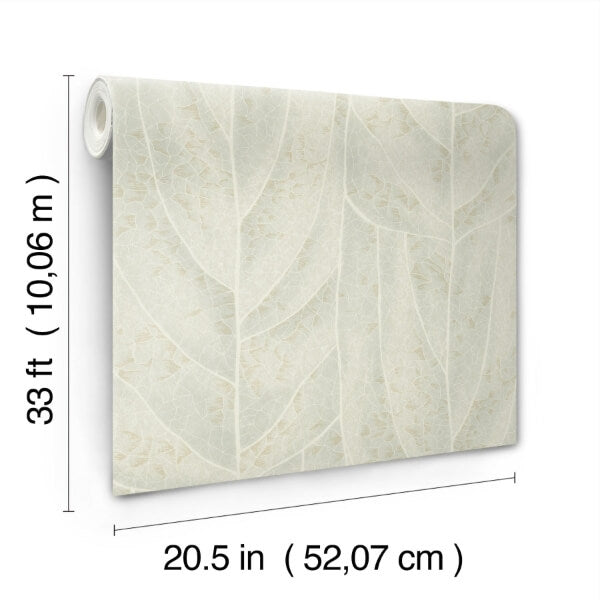 Dicot Light Green Leaf Wallpaper