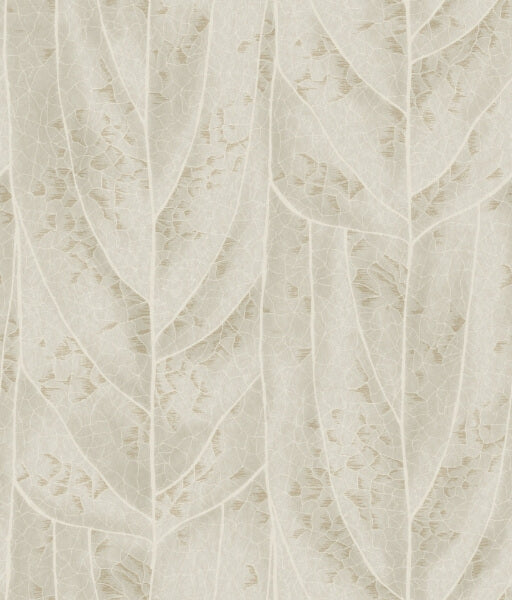 Dicot Beige Leaf Wallpaper