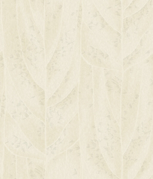 Dicot Pearl Leaf Wallpaper