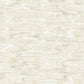 Dreamland Oyster Wallpaper