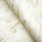 Dreamland Oyster Wallpaper